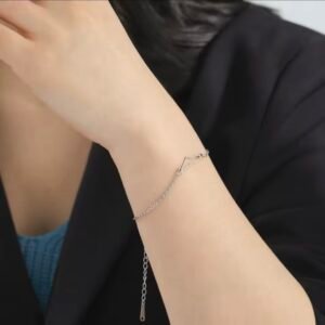 silver stainless steel bracelet with a map of palestine.