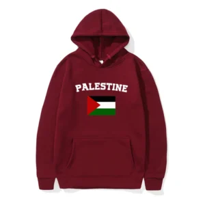 palestine flag hoodie